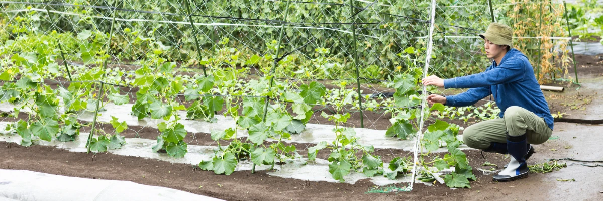 よくあるご質問